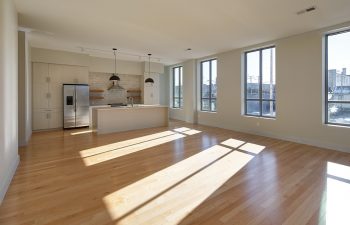 Large Kitchen and Living Room