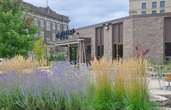 Distillery Neighborhood