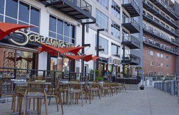 ScreamingTuna Neighborhood